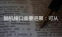 脑机接口重要进展：可从微细血管获得神经信号