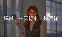 脱贫“中国标准”是怎样制定的
？ 下一步怎么走�？