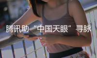 快排公司十年历程，霸屏兔 seo 的崛起与坚守