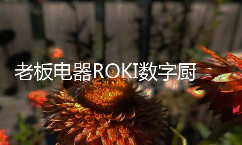 据老板电器相关人士认为