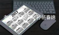 快排公司十年历程，霸屏兔 seo 的崛起与坚守