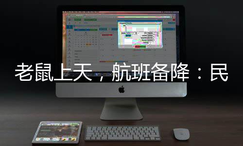 鼠患飞机上灭鼠并不容易