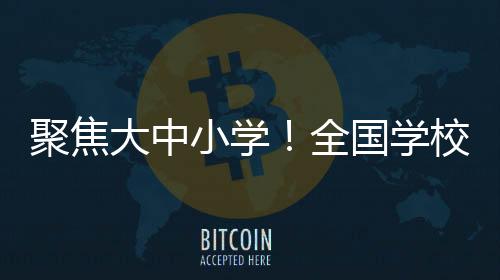 小学学校评估和服务等作用