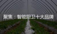 聚焦
：智能厨卫十大品牌2020年立足点在哪里?