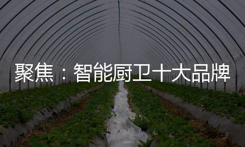 智能厨卫产业至今为止
