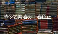 节令之美·春分｜春色正中分	，人间恰良辰