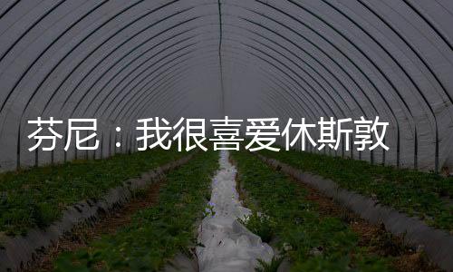 他的芬尼家也安在那里