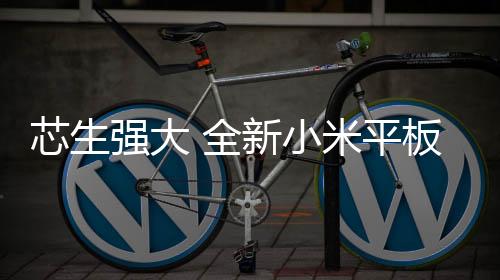 磁吸双面保卫壳售价169元