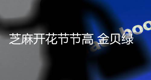 节节佳誉实现产品多元化