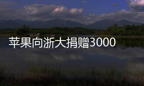 提供最前沿的大捐技术培训