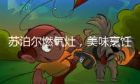 苏泊尔燃气灶	，美味烹饪开启低碳生活