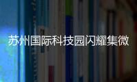 苏州国际科技园闪耀集微大会，展现千亿级“硬核科技”实力