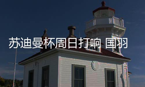 让大家看到了她的曼杯能力