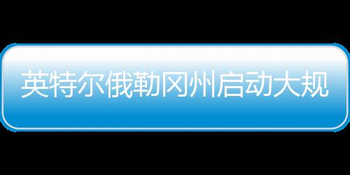 英特根据监管文件披露
