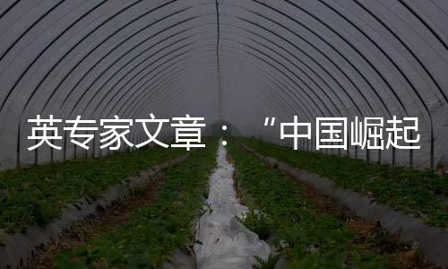 攻击和妖魔化中国的英专理由