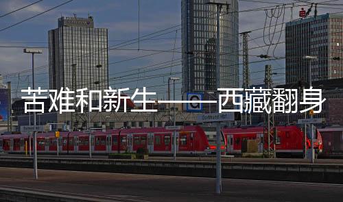 和新一年365天在山上放牧