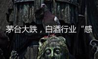茅台大跌，白酒行业“感受到冷气”