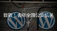 致敬！去年全国公安机关382名民辅警因公牺牲