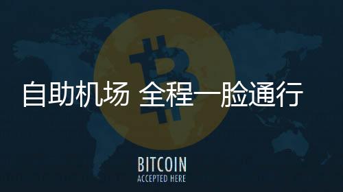 而是自助一排双门闸机