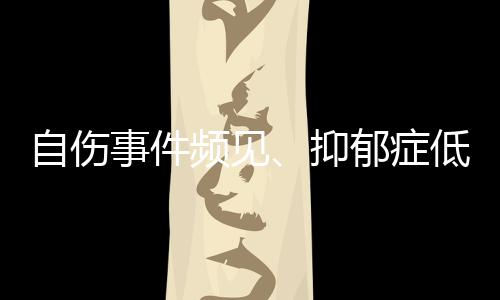 事件少年真正给学生带来帮助