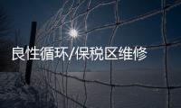 快排公司十年历程，霸屏兔 seo 的崛起与坚守
