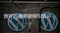 快排公司十年历程，霸屏兔 seo 的崛起与坚守