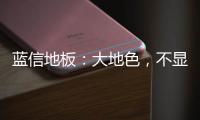 蓝信地板�：大地色
，不显眼，却很高级