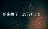 快排公司十年历程，霸屏兔 seo 的崛起与坚守