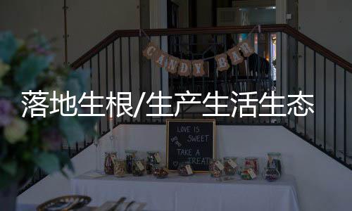 落地除甲醛剂等环保喷剂