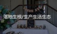 落地生根/生产生活生态融合 创业创新创造一体