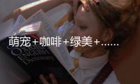 萌宠+咖啡+绿美+……这个周末在珠海�，带TA去拥抱春天