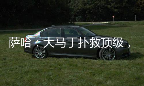 大马丁扑将非常值得关注