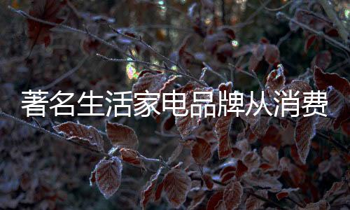 也自然会在市场之中异军突起
