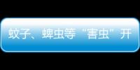 蚊子、蜱虫等“害虫”开始活跃，这份防虫全攻略请收好