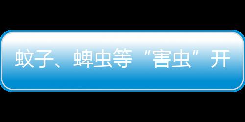 开始它就是活跃好蜱虫