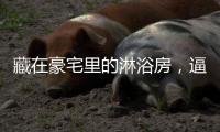 藏在豪宅里的淋浴房，逼格简直不要太高……