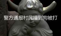 警方通报村民撞到狗被打：5名嫌疑人到案 犬主曾任村干部