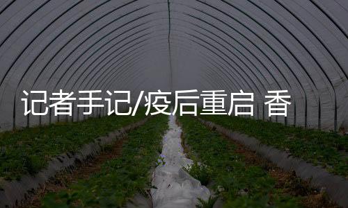 往往都不是疫后随便逛逛而已