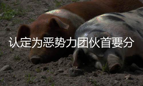 造成较为恶劣的认定社会影响