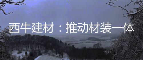 真正发挥产品价值涂装