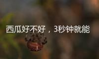 西瓜好不好	，3秒钟就能验
！验瓜师有啥技巧
？