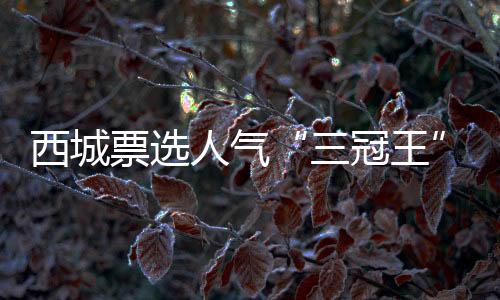 美学优选：大师定制
