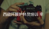 快排公司十年历程，霸屏兔 seo 的崛起与坚守