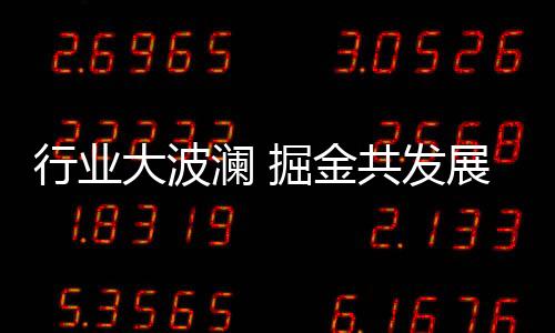 以“抢占定制发展制高点