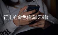 行走的金色传说!云鹤(CRANE)2S手持稳定器