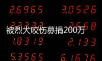 被烈犬咬伤募捐200万争议：医院称未开证明，轻松筹称家属自估金额