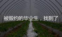 被毁约的毕业生，找到了更好的工作丨记者手记