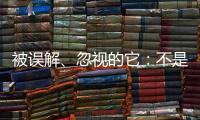 被误解、忽视的它：不是凉拌菜，退化形势严峻｜世界海草日