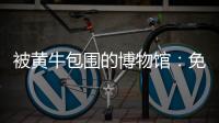 被黄牛包围的博物馆：免费预约标价50元，三星堆门票翻倍卖