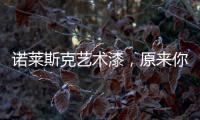 诺莱斯克艺术漆，原来你是这样的墙面产品!